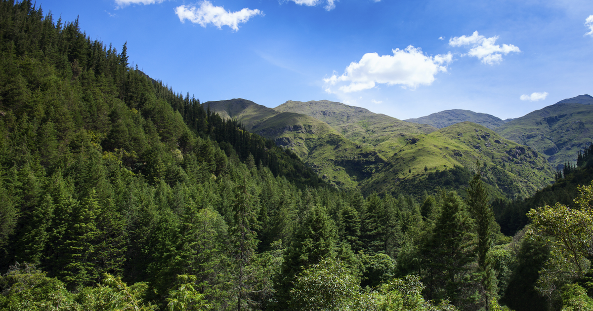 Авиабилеты Рурренабаке - Тариха